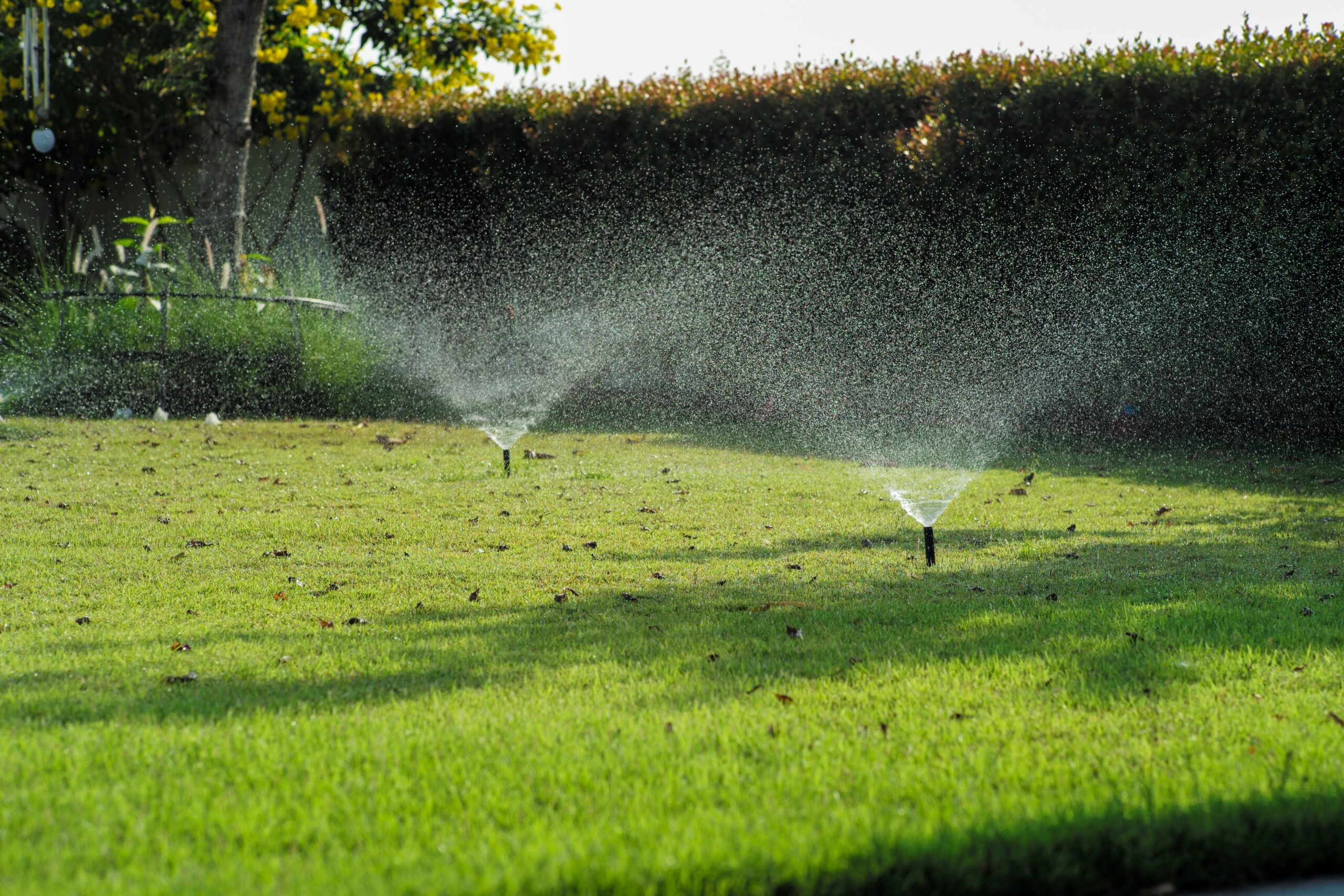 Irrigation Services